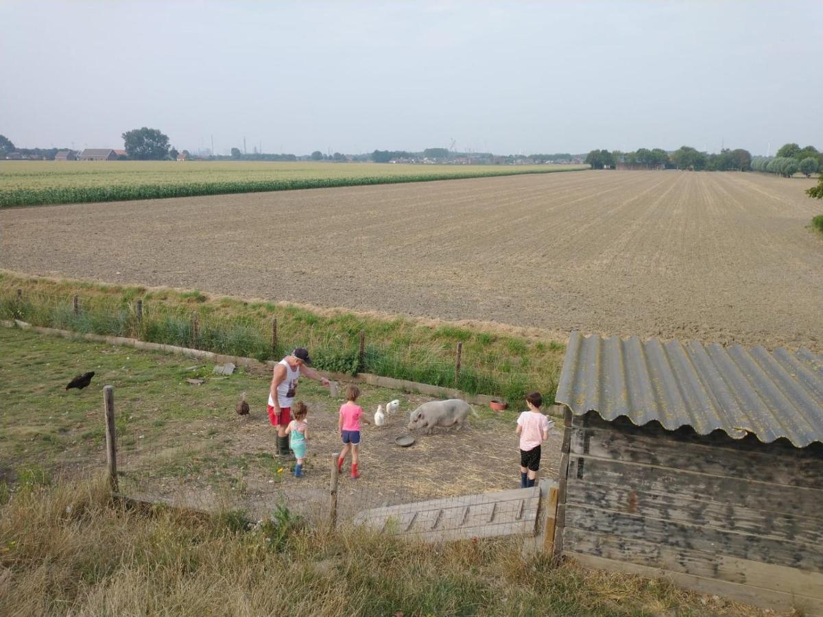 Bie Oans Oefje Lewedorp Exterior foto