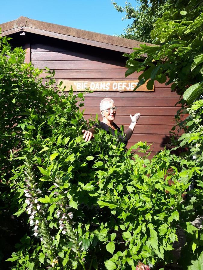 Bie Oans Oefje Lewedorp Exterior foto