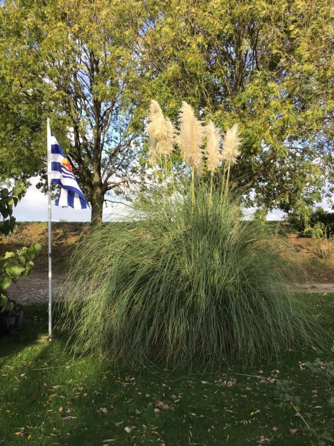 Bie Oans Oefje Lewedorp Exterior foto