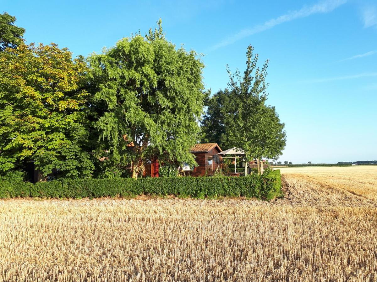Bie Oans Oefje Lewedorp Exterior foto