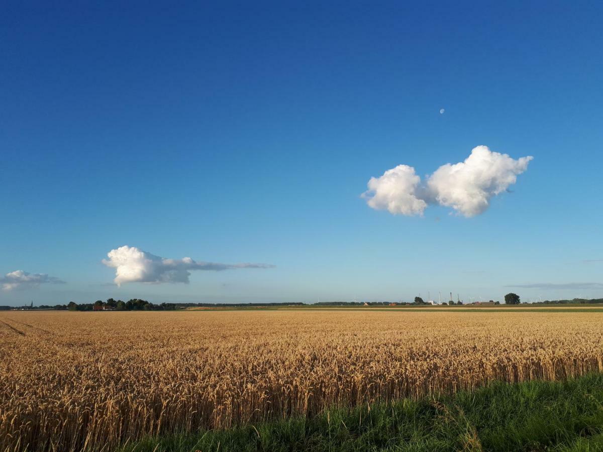 Bie Oans Oefje Lewedorp Exterior foto